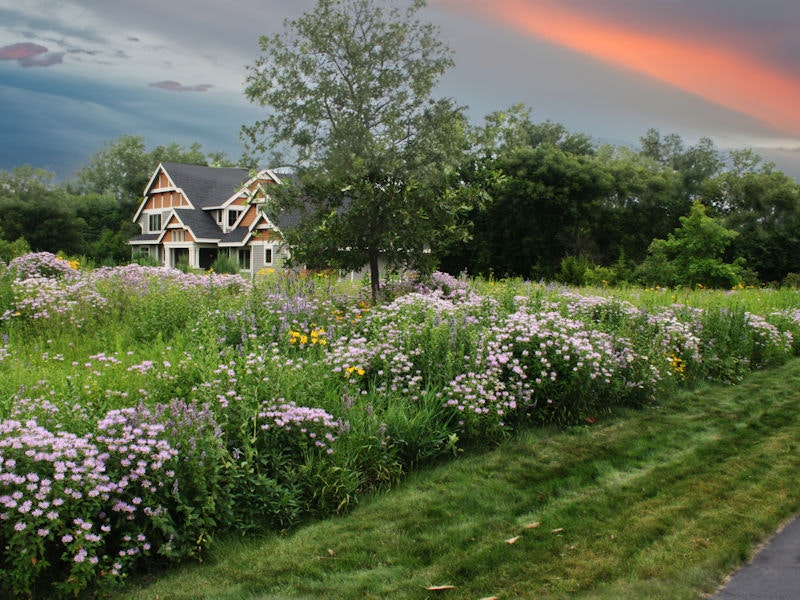 A house surrounded by a lush garden with wildflowers, trees, and a vibrant sunset sky.