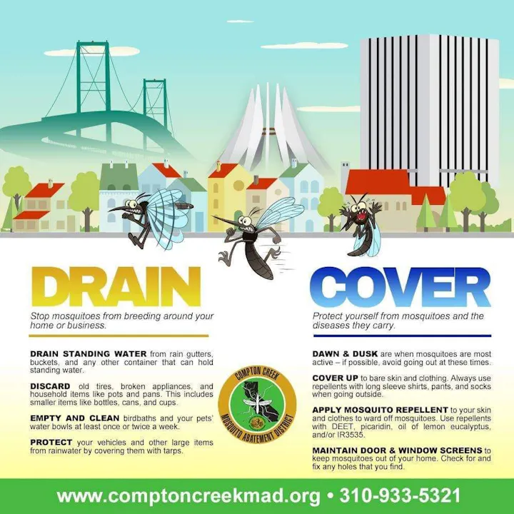 Public service poster about preventing mosquito breeding (DRAIN) and protecting against mosquitoes (COVER), with cartoon mosquitoes and city background.