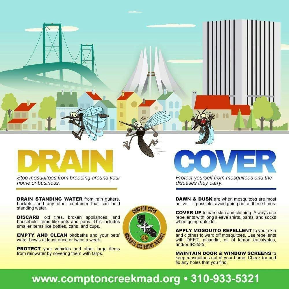 Public service poster about preventing mosquito breeding (DRAIN) and protecting against mosquitoes (COVER), with cartoon mosquitoes and city background.