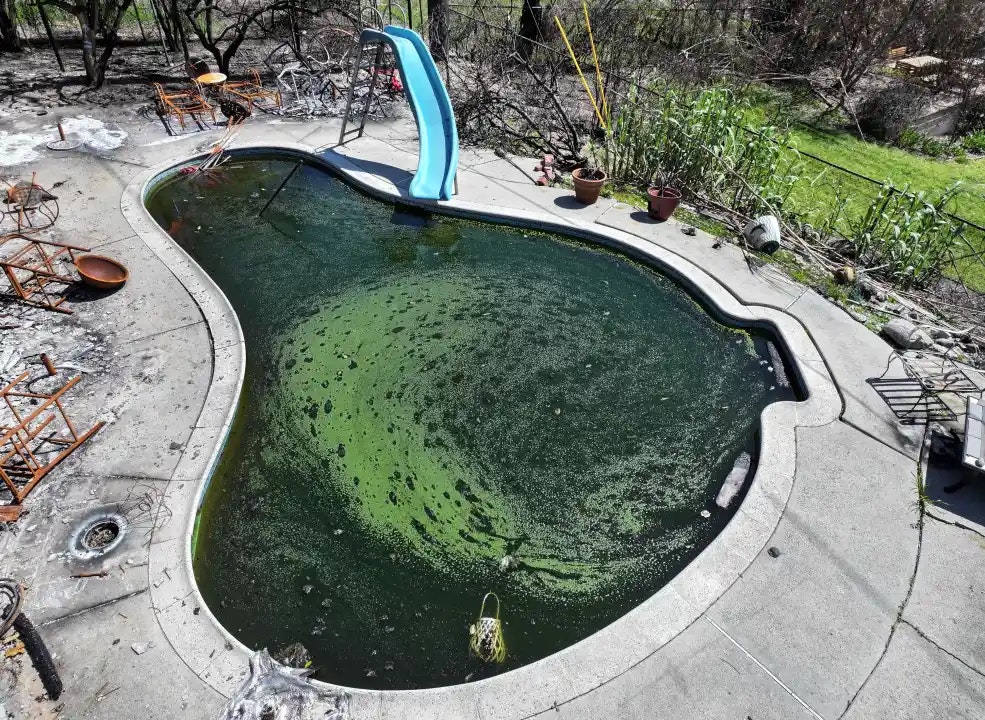 A neglected swimming pool with green, algae-filled water, surrounded by debris and fallen outdoor furniture.