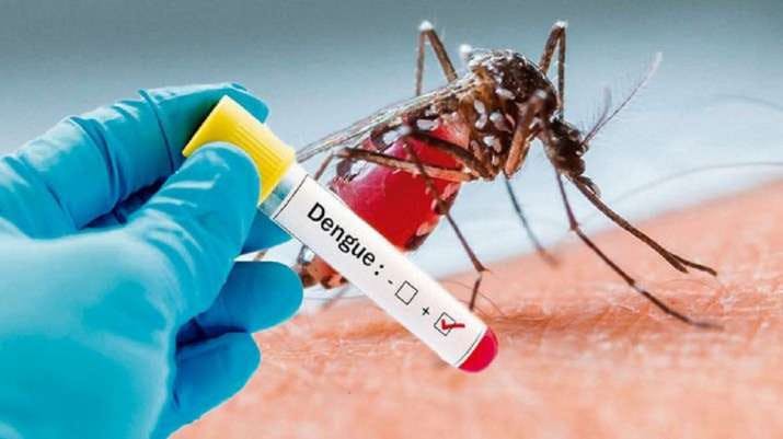 A mosquito on skin, a gloved hand holding a positive dengue test tube nearby.