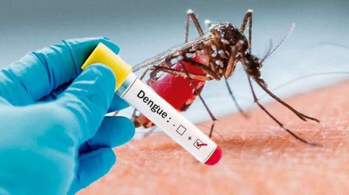 A mosquito on skin, a gloved hand holding a positive dengue test tube nearby.