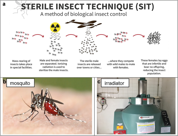 Diagram of the Sterile Insect Technique (SIT) to control mosquito populations, including a mosquito and an irradiator.