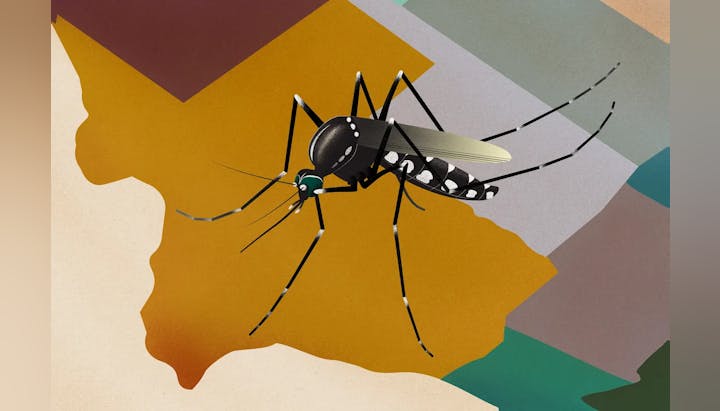 A mosquito illustration over a colorful map-like background.