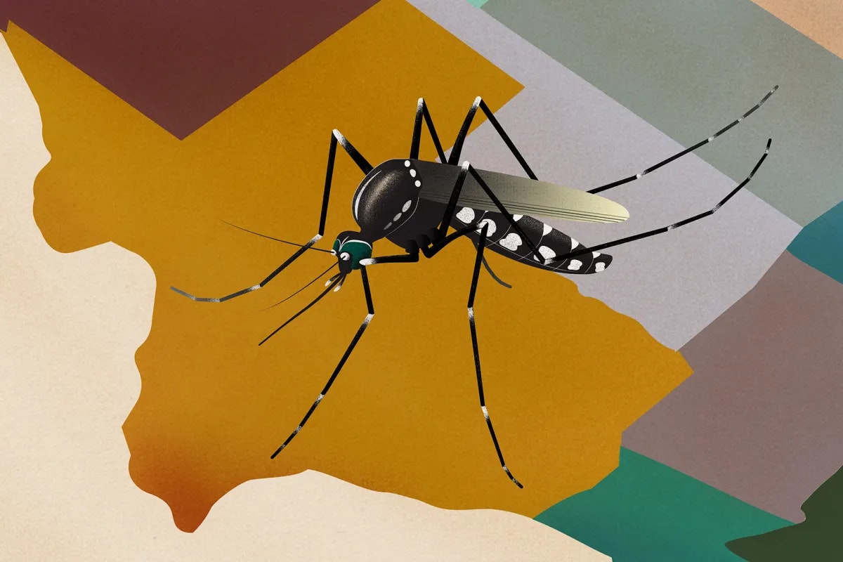A mosquito illustration over a colorful map-like background.