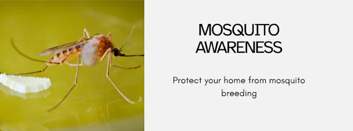 The image promotes "Mosquito Awareness," urging protection against mosquito breeding in homes.