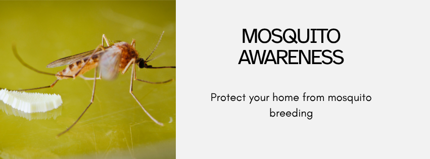 The image promotes "Mosquito Awareness," urging protection against mosquito breeding in homes.