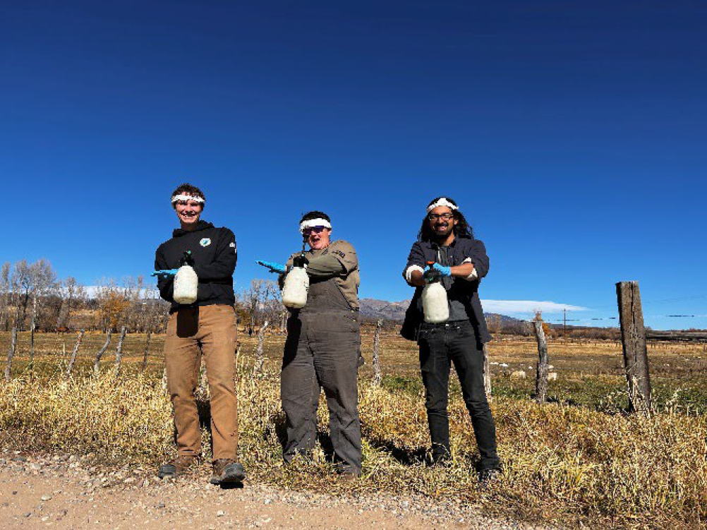 Three people holding objects, standing in a field with a clear blue sky.