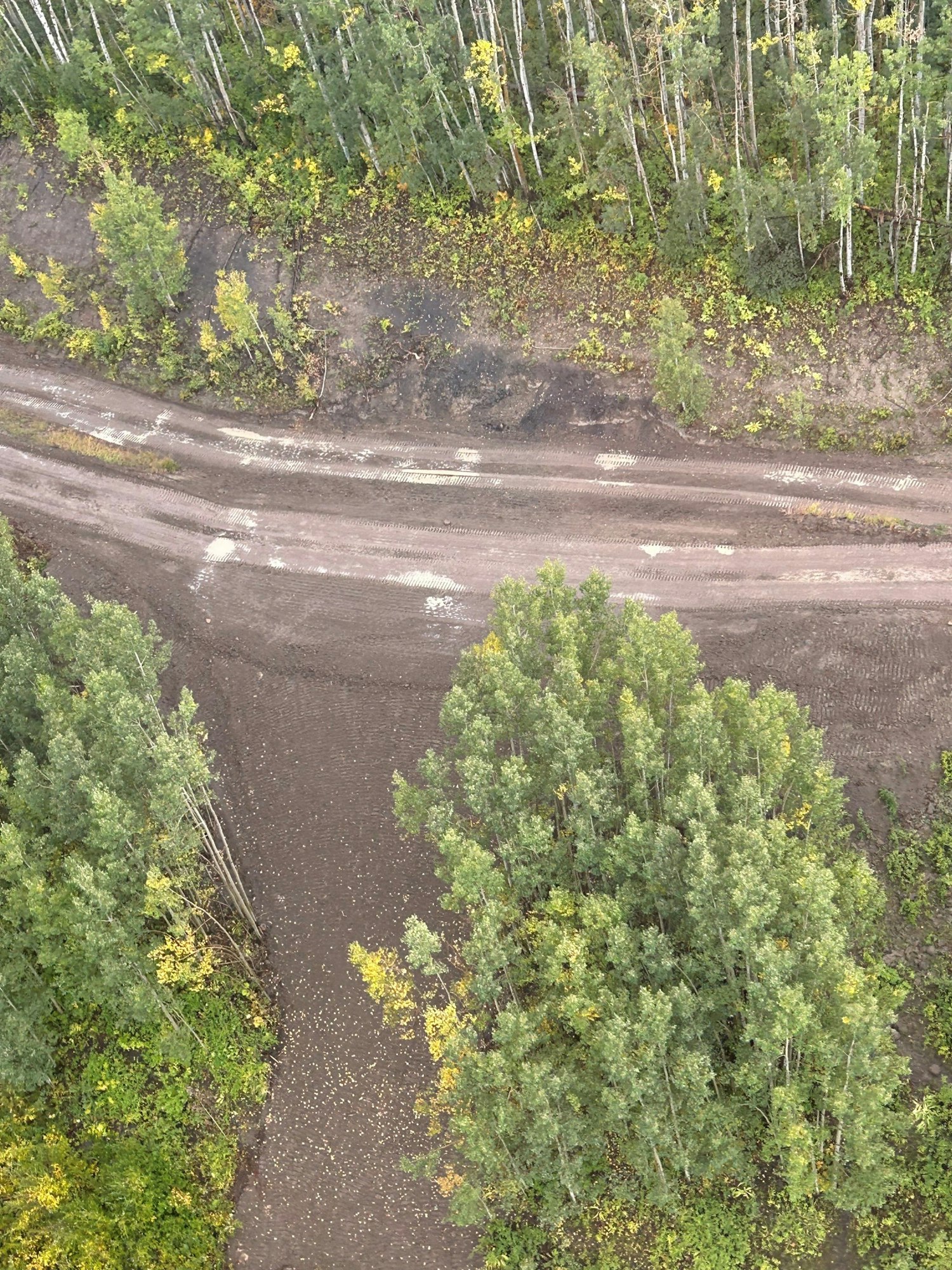 Aerial view of a curved dirt road amidst trees during autumn.