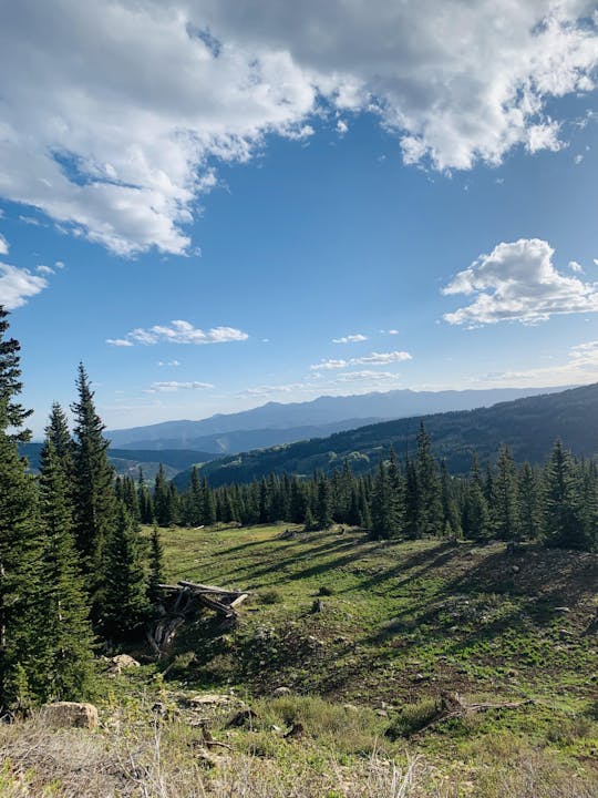 Verdant mountain landscape with coniferous trees under a partly cloudy sky.