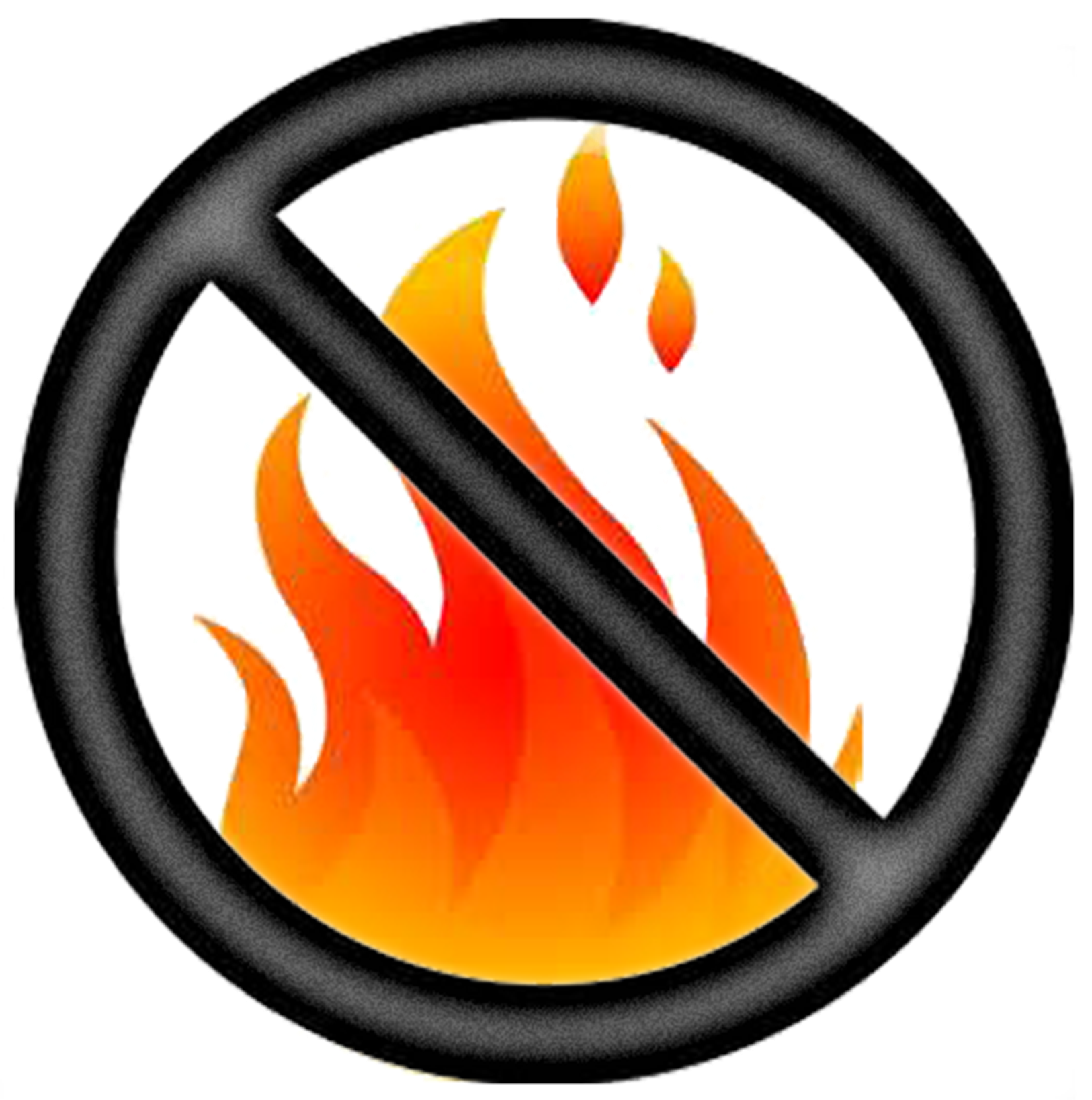 A flame inside a prohibition symbol, indicating "no fire" or "fire is forbidden."
