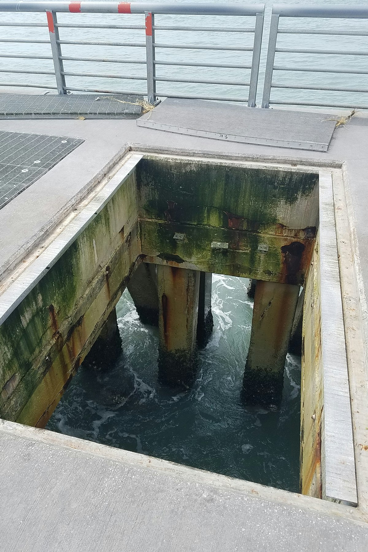 View underneath concrete cap of North Jetty