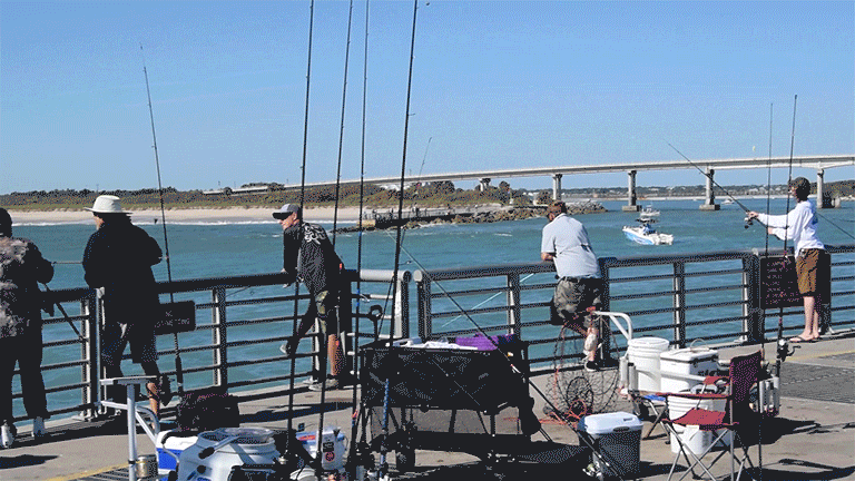 Video of people fishing on a pier