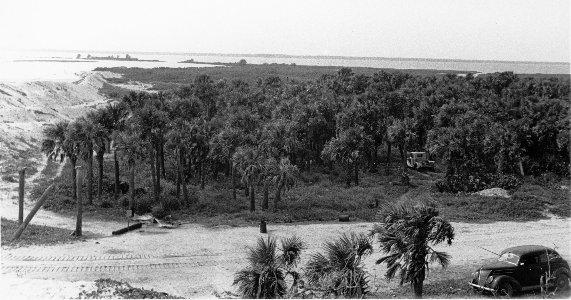 A black-and-white image of palm trees, sandy terrain, and two vintage cars near a coastal landscape.