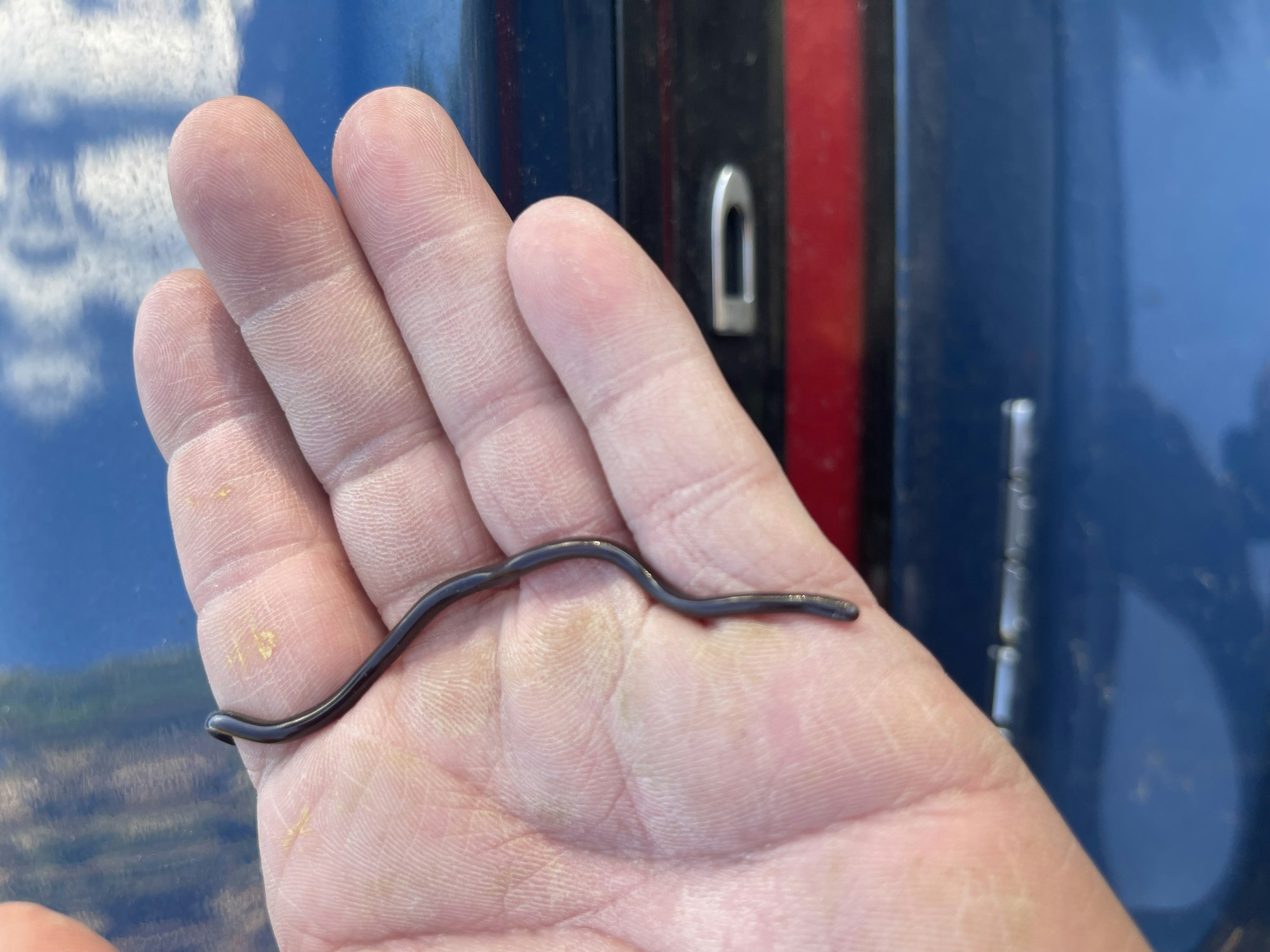 A hand holding a bent metal rod with reflective background.