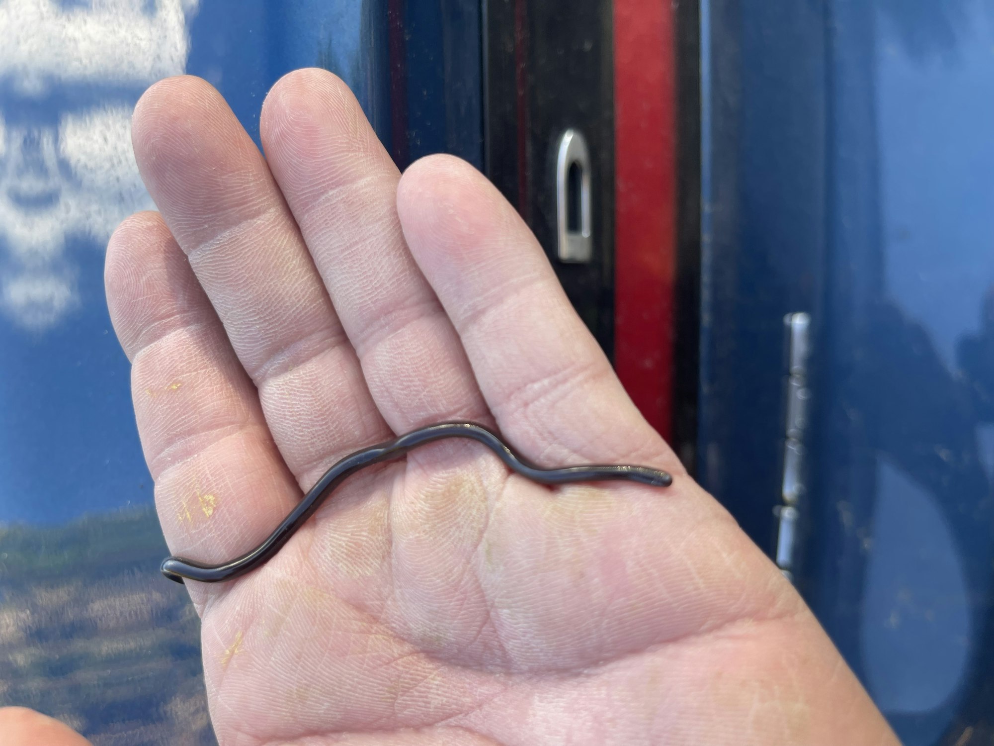 A hand holding a bent metal rod with reflective background.