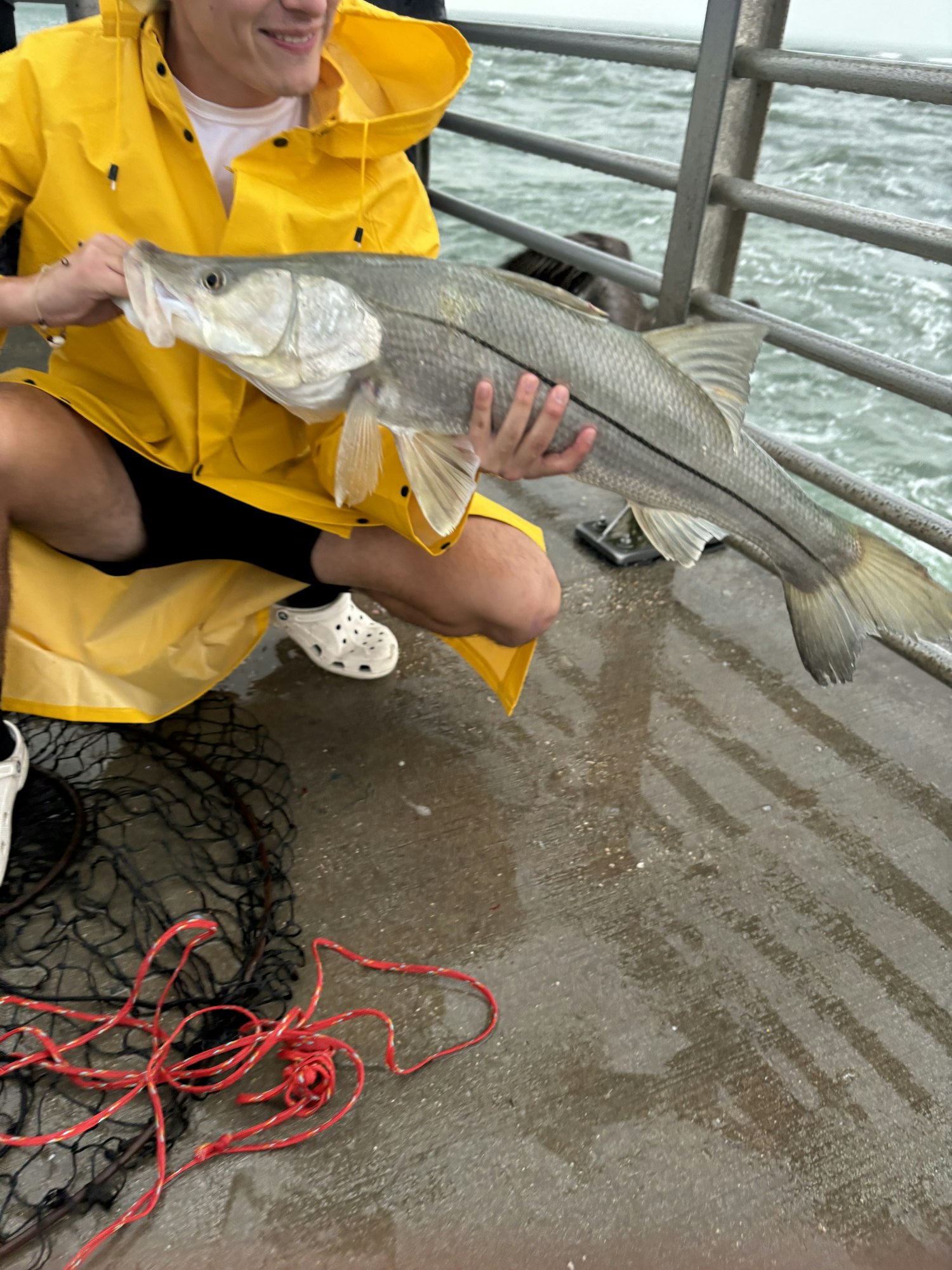 May contain: clothing, coat, animal, fish, sea life, adult, female, person, woman, footwear, and sandal
