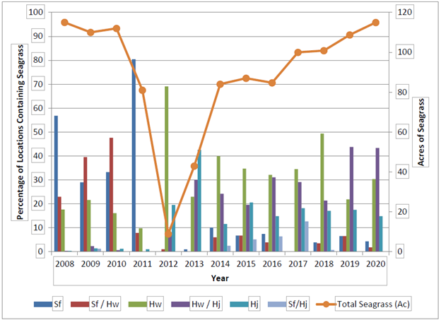 bar graph of seagrass amounts