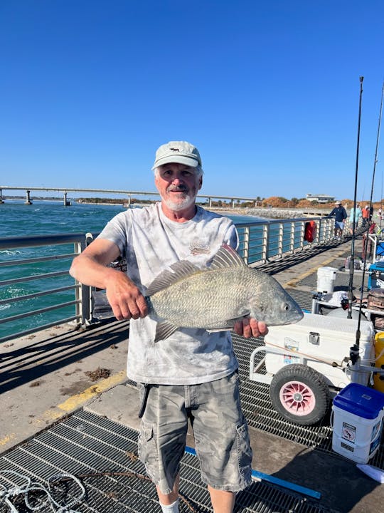 A man on a fishing pier holds up a large fish, with a clear blue sky and bridge in the background.