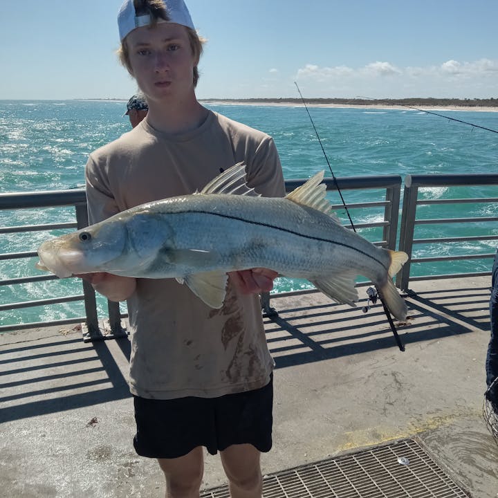 A person holds a large striped fish on a pier, with water and sky visible in the background.