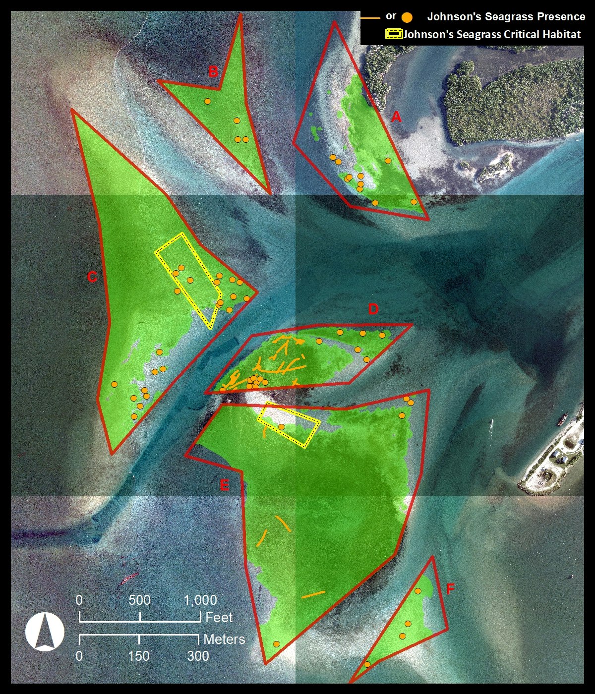 aerial map looking straight down of Sebastian Inlet flood shoal with 6 zone boundaries and indicators where Johnson's seagrass found