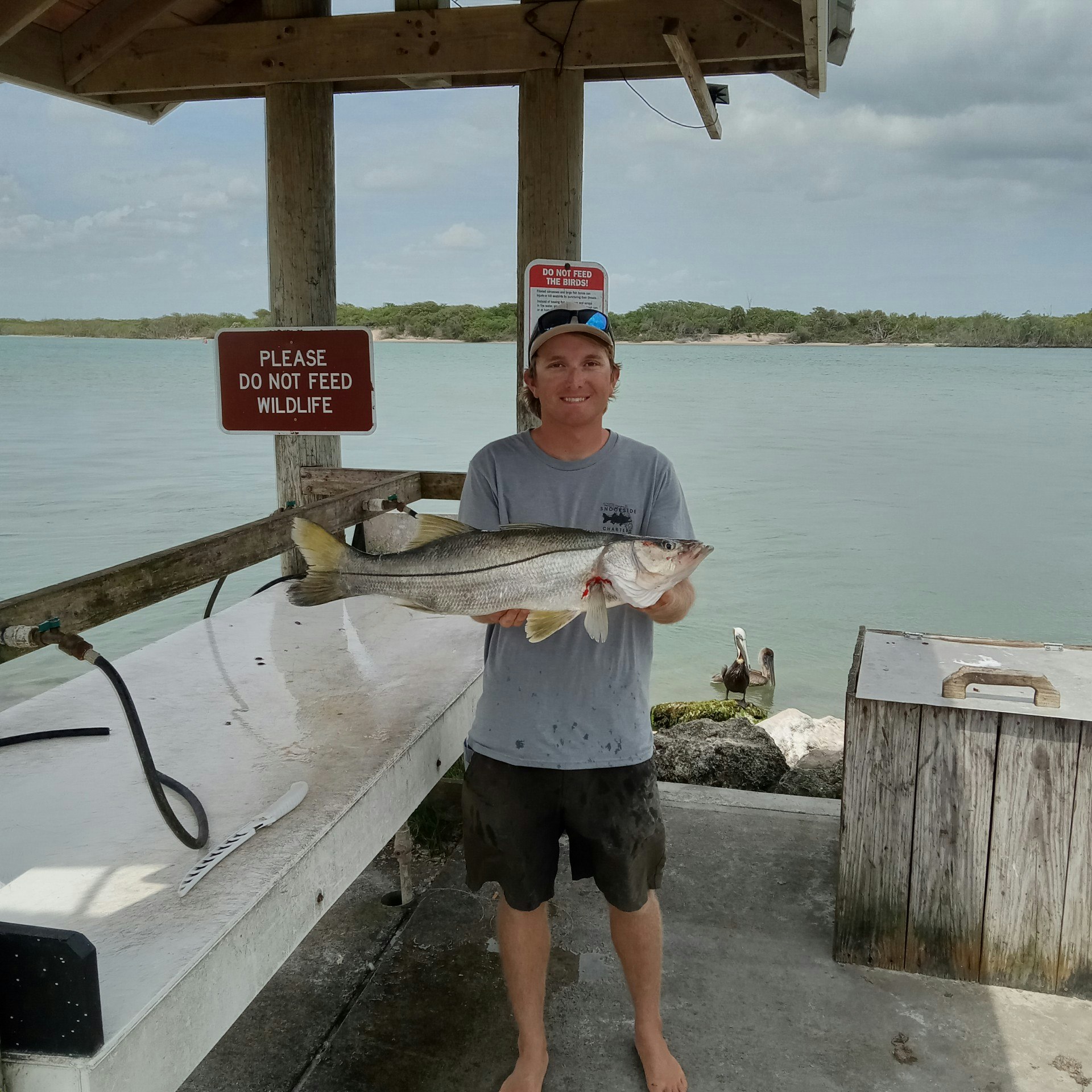 A person holding a large fish at a dock, with a "Please do not feed wildlife" sign and water in the background.