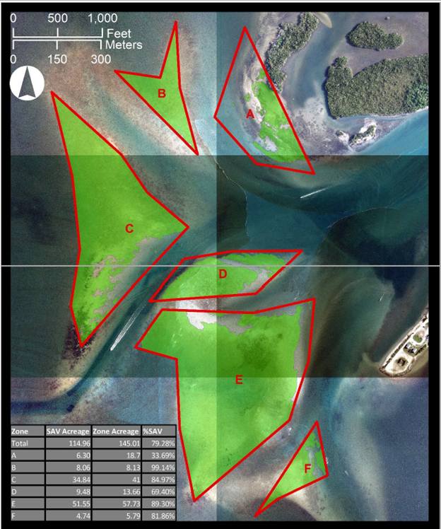 map of seagrass shoal