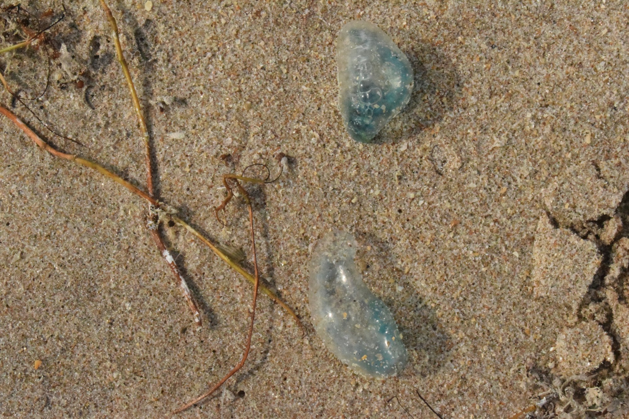 May contain: sand, nature, and outdoors