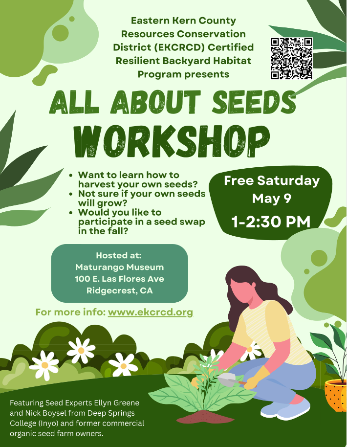 Free workshop on seeds at Maturango Museum, Ridgecrest, CA, May 9, 1-2:30 PM. Learn to harvest and swap seeds!