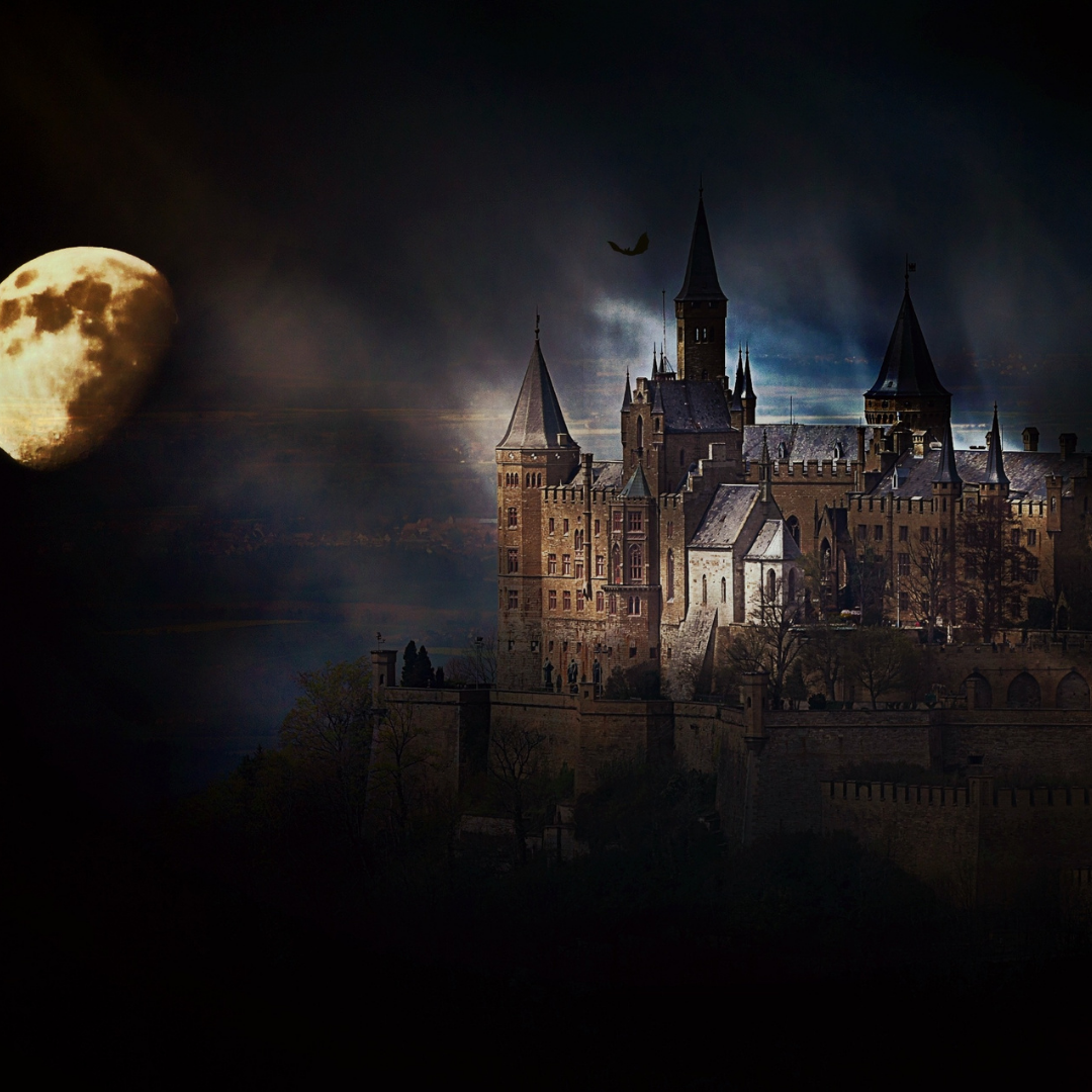 A dark, atmospheric scene featuring a grand castle illuminated by a full moon, with a mysterious mood and a silhouette of a bird.