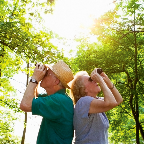 A couple enjoying nature, looking through binoculars while standing back-to-back in a lush, green environment.