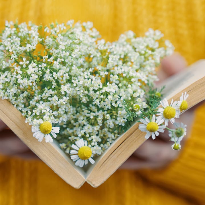 Open book with white flowers inside, held by hands against a yellow background.