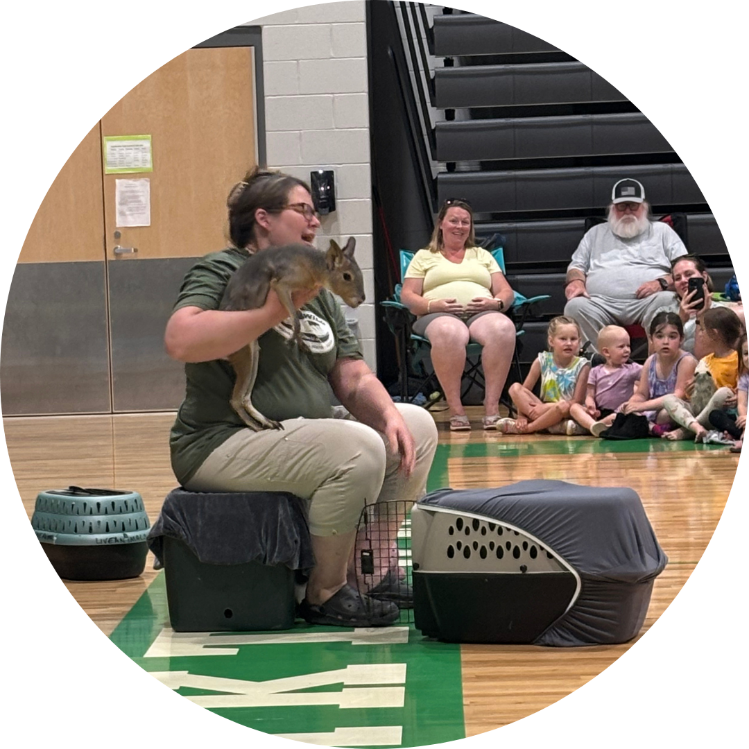 A person holds a small animal while an audience of children and adults watches in a gym setting.