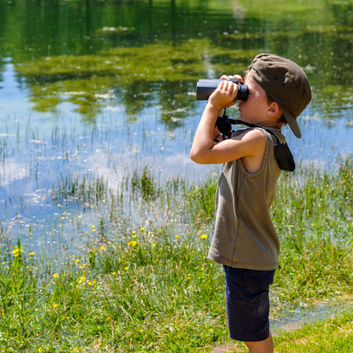 A child wearing a cap observes nature through binoculars by a pond surrounded by grass and flowers on a sunny day.