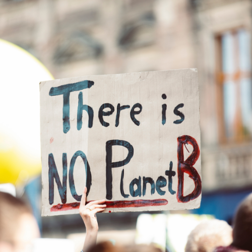 A protest sign reading "There is NO Planet B," emphasizing urgency for environmental action.