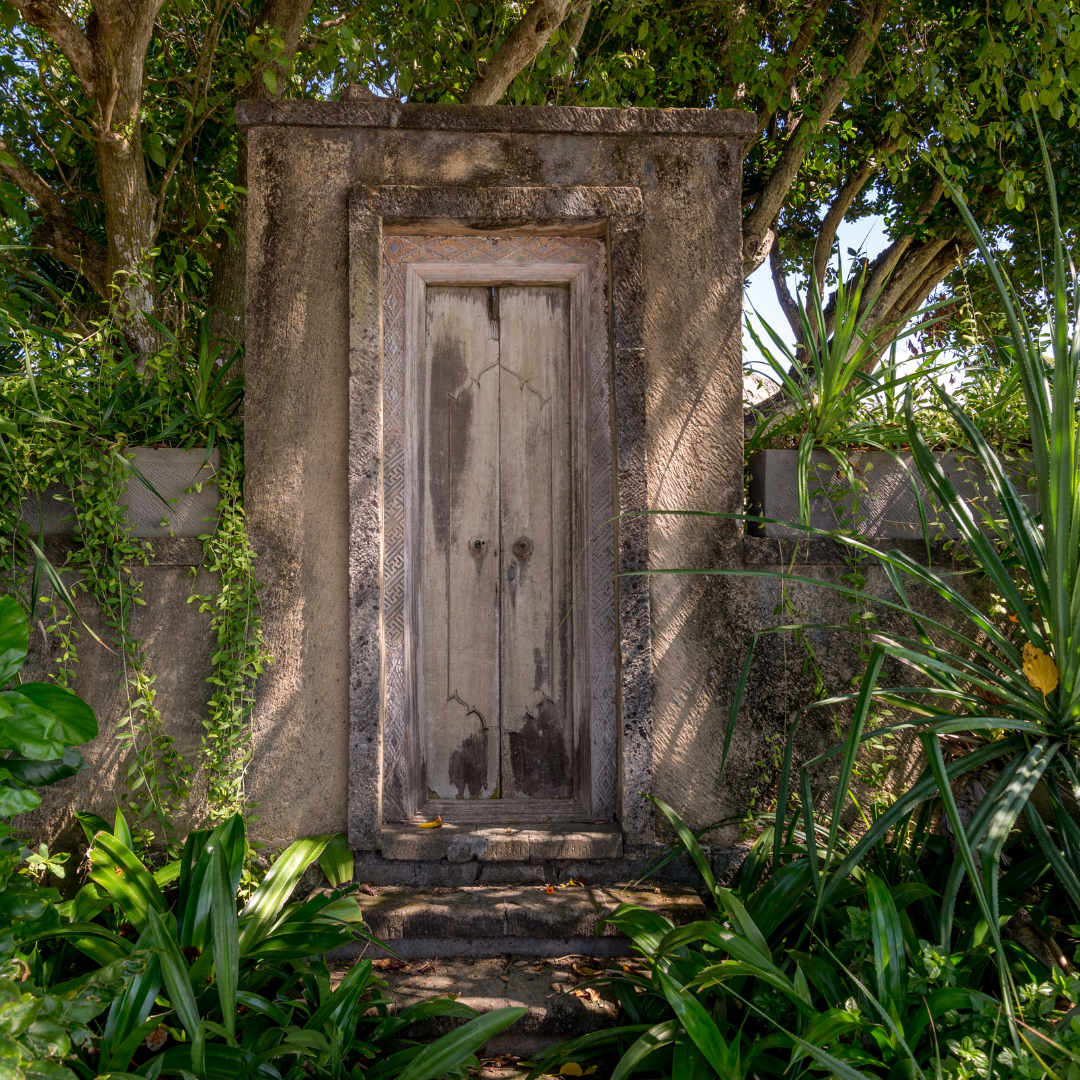 An old, weathered wooden door set in a stone frame, surrounded by lush green plants and trees.