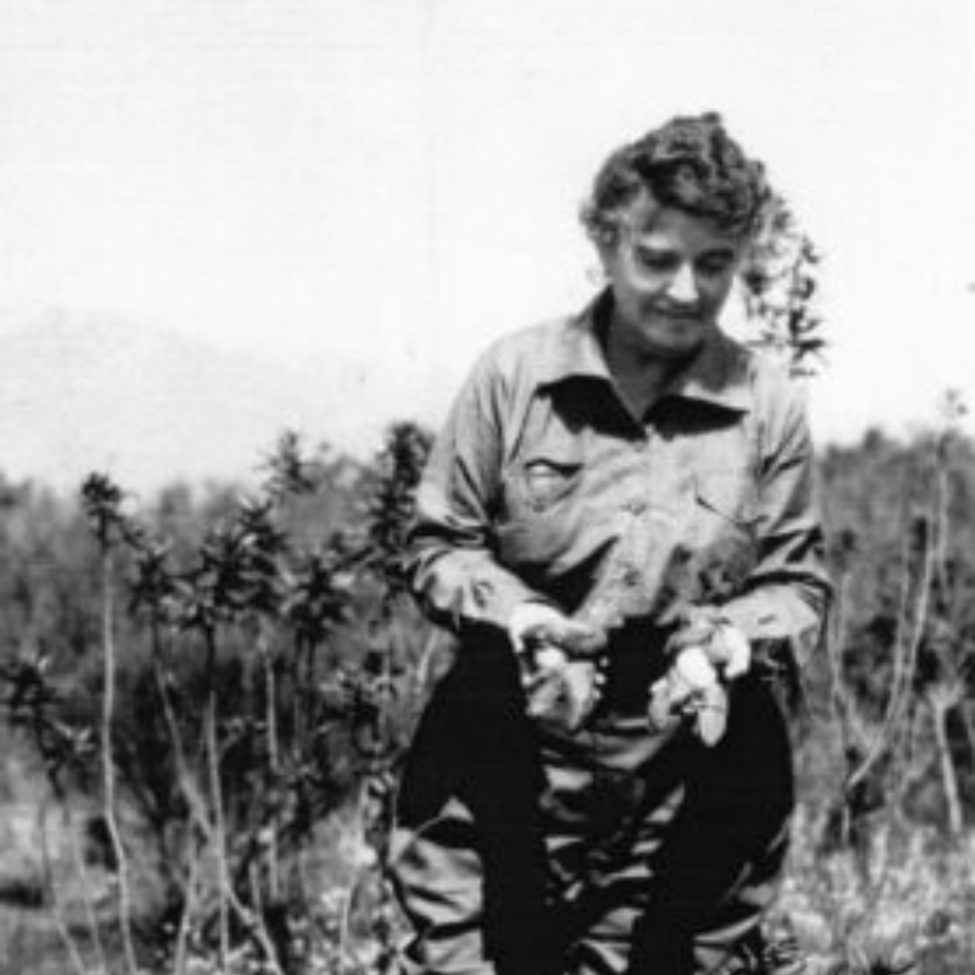 A person in outdoor clothing standing among plants, holding something in their hands.