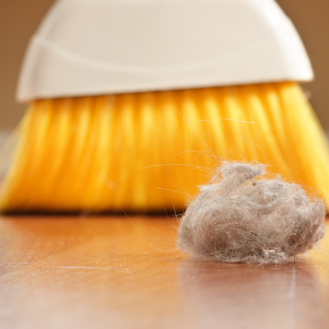 A broom with yellow bristles and a ball of dust on a wooden floor.