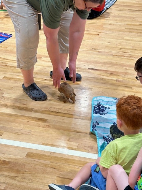 A person showing a small armadillo to children sitting on a gym floor.