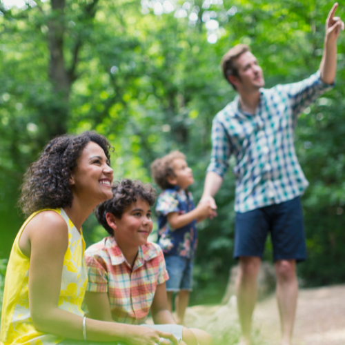 A family enjoying nature: a woman and two boys looking up, while a man points at something in the trees.