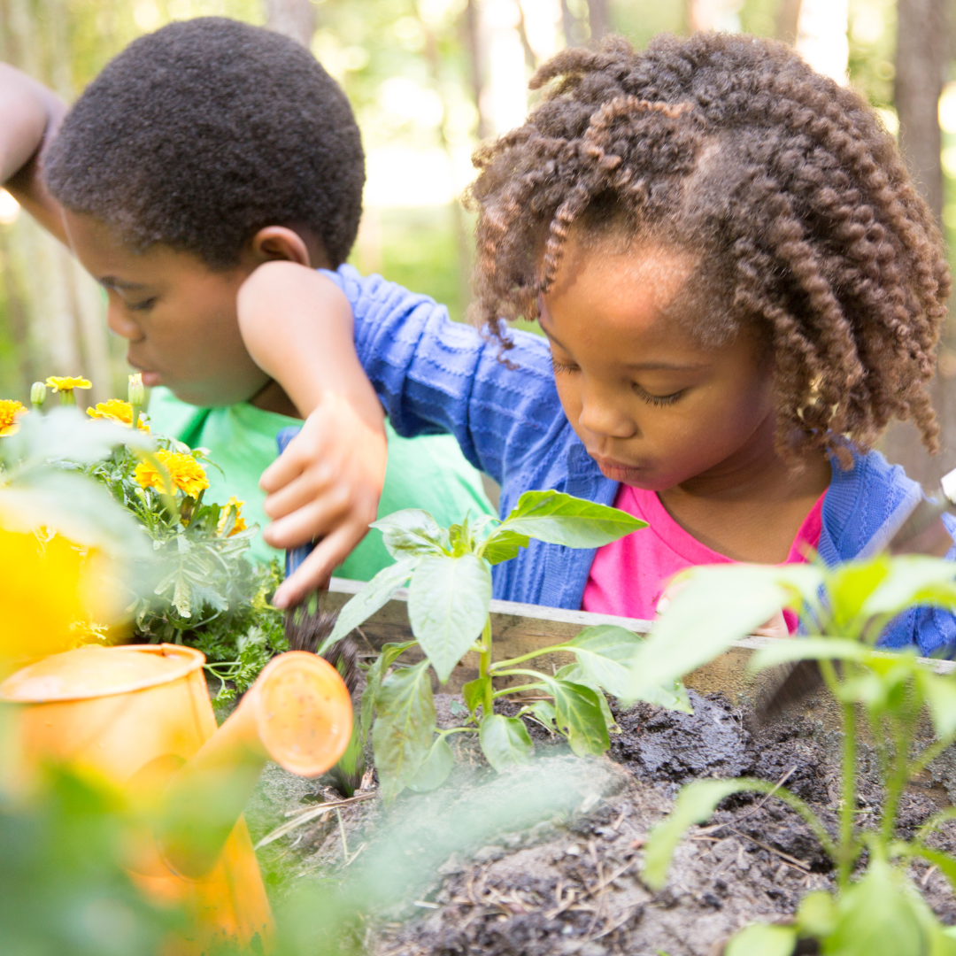 Two children gardening, focused on planting and watering flowers and plants.