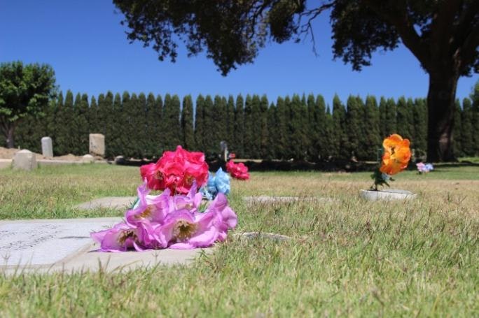 May contain gravesite, tomb, flower arrangements, grass, and trees at the oak park cemetery.