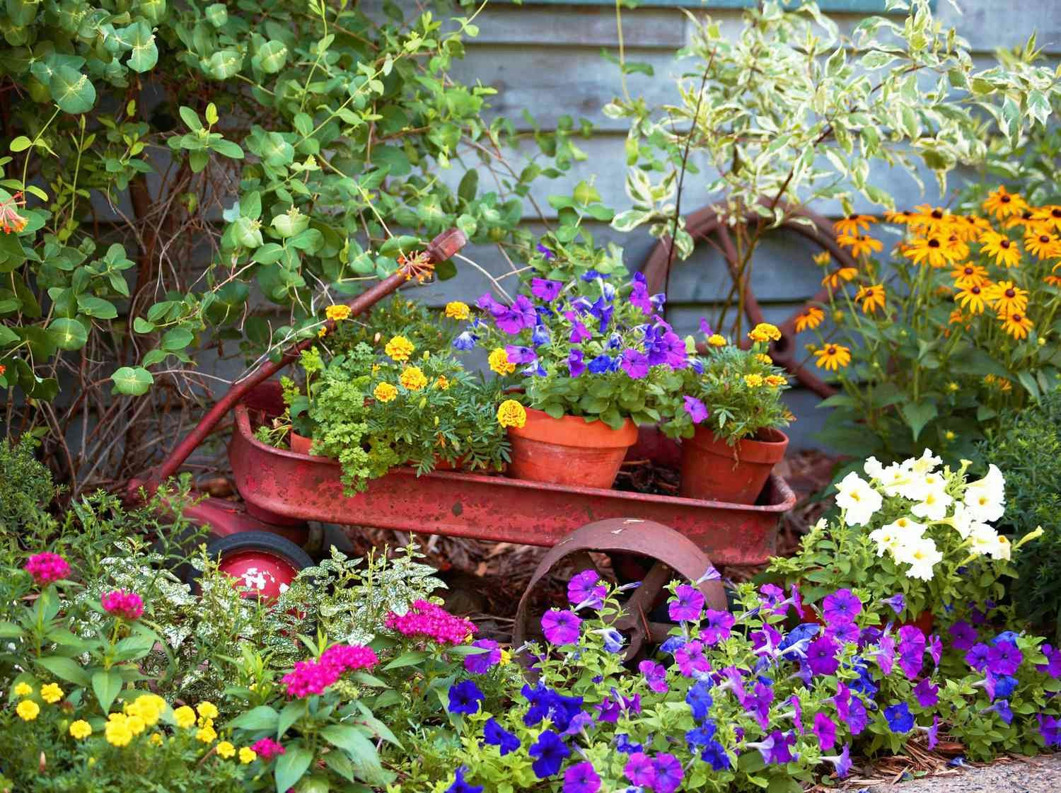 A vibrant garden scene featuring a rusty red wheelbarrow filled with colorful flowers and surrounded by lush greenery.