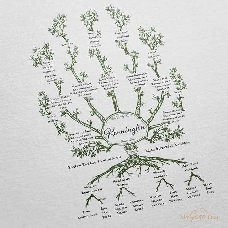 A Kennington family tree illustration with branches, featuring various family member names.