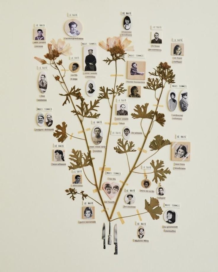 A creative family tree made with photographs and botanical elements, displaying relationships with labels in French.