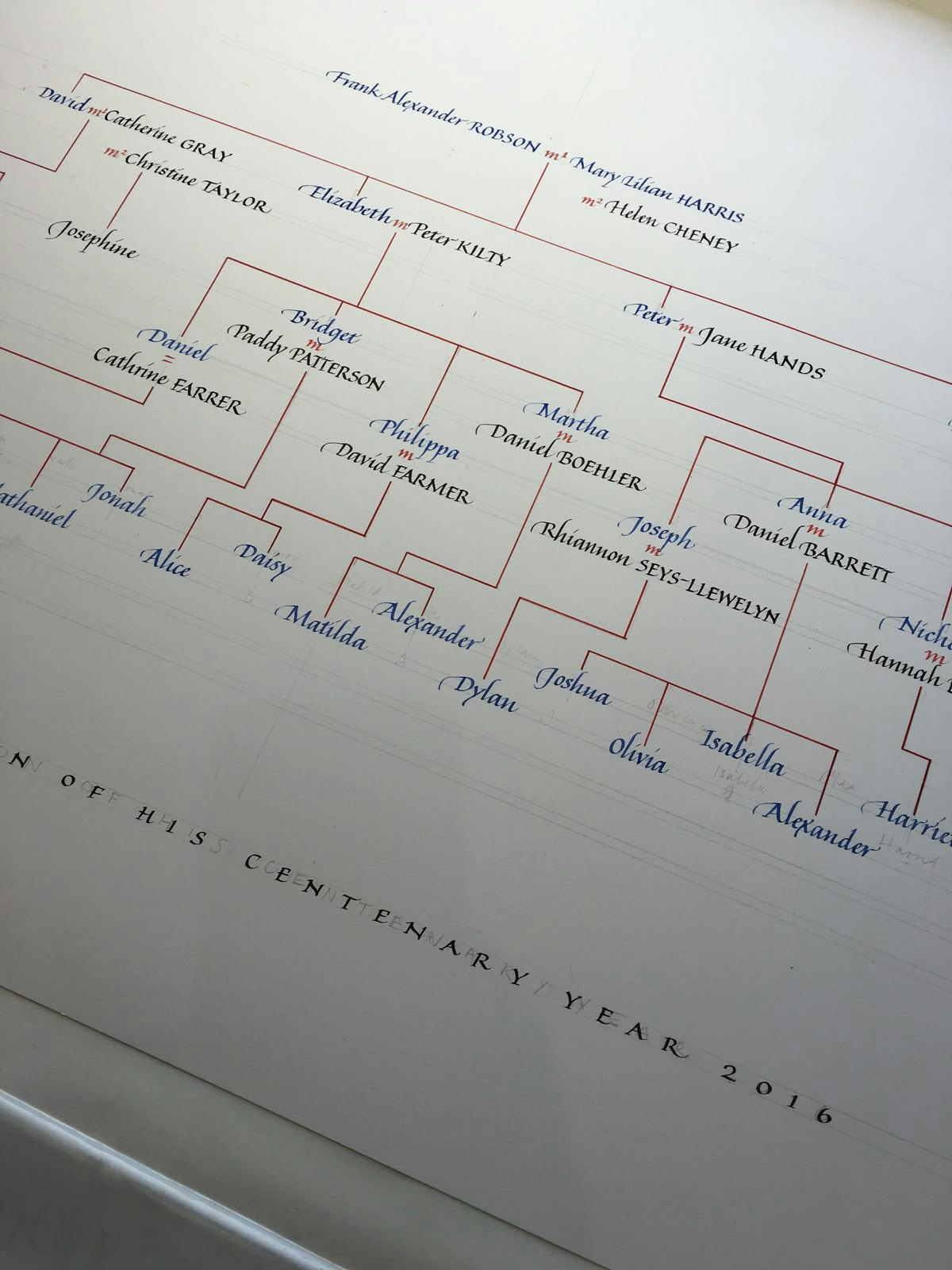 The image shows a family tree with names, relationships, and birth dates, commemorating a centenary year of 2016.