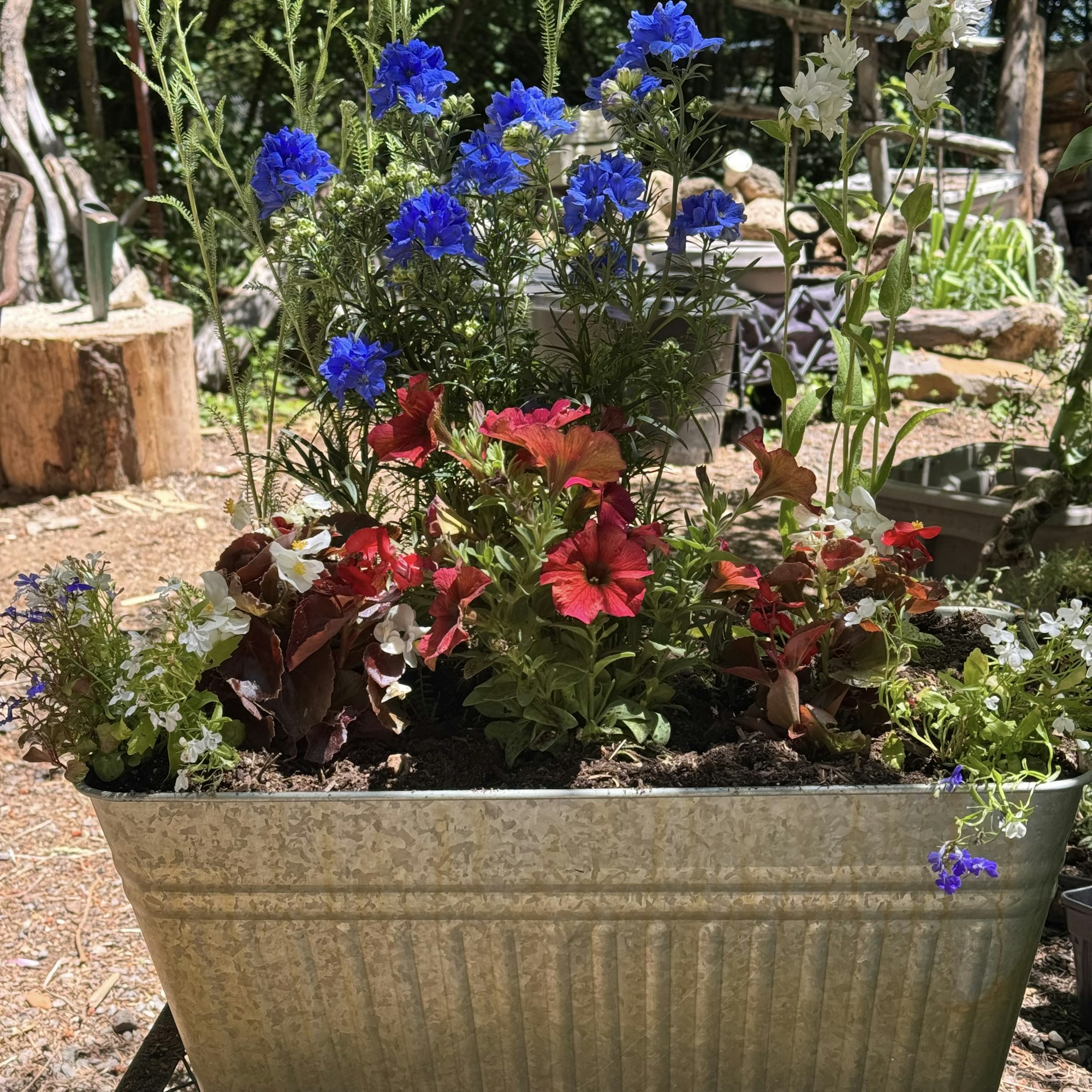 A metal planter filled with colorful flowers, including red, blue, white, and yellow blooms, in a sunny garden setting.