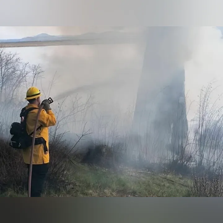 A firefighter in protective gear is using a hose to battle smoke and flames in a grassy area, surrounded by trees.