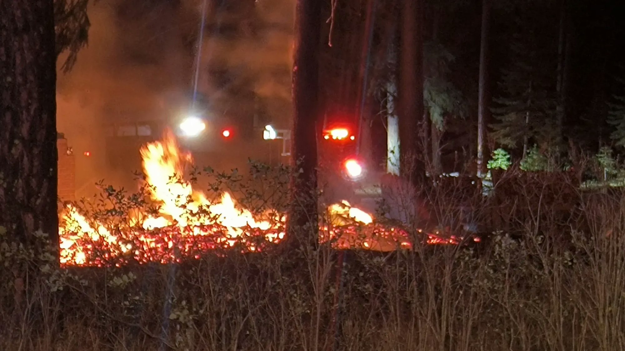 Fire burns on the ground in a forest at night, with emergency vehicle lights in the background among the trees.