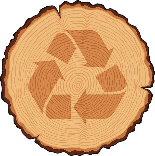 A tree ring cross-section with a recycle symbol overlaid, symbolizing sustainable practices.